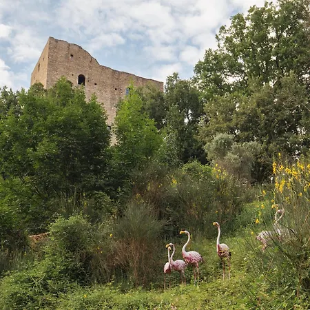 Tenuta Castel Dell'aquila *