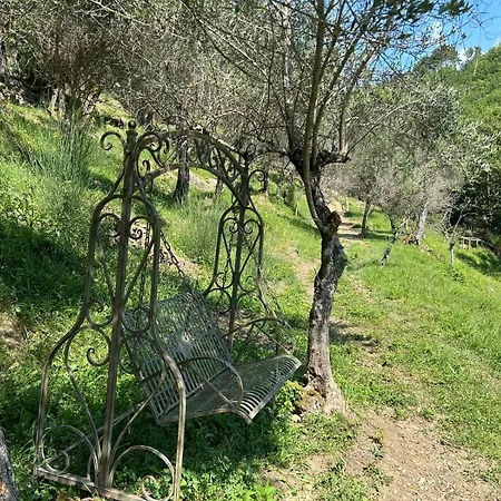 Tenuta Castel Dell'aquila 度假村