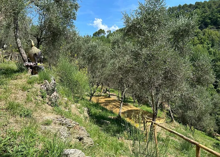 Tenuta Castel Dell'aquila * Gragnola
